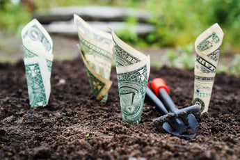 Save Money and the Environment with Sara Renshaw and Luminous Being